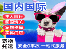 滨海机场货运国际宠物托运 【国